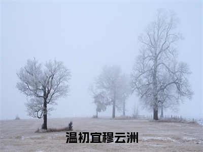 温初宜穆云洲小说（温初宜穆云洲）全文免费阅读无弹窗大结局_(温初宜穆云洲免费阅读)最新章节列表_笔趣阁（温初宜穆云洲）