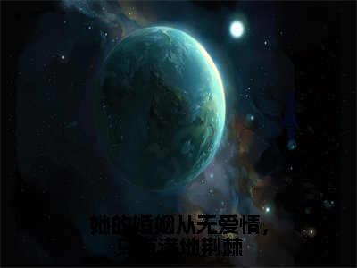 她的婚姻从无爱情，只有满地荆棘热门小说目录推荐 林佳音许星尧全文完整版阅读