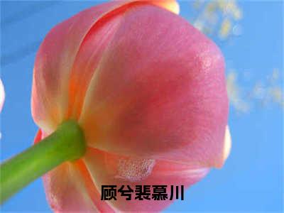 顾兮裴慕川小说顾兮裴慕川无弹窗免费阅读-最新小说顾兮裴慕川(顾兮裴慕川)全文阅读