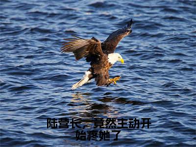 陆营长，竟然主动开始疼她了全文免费阅读无弹窗-（陆京衡沈南央）陆营长，竟然主动开始疼她了最新章节列表在线阅读