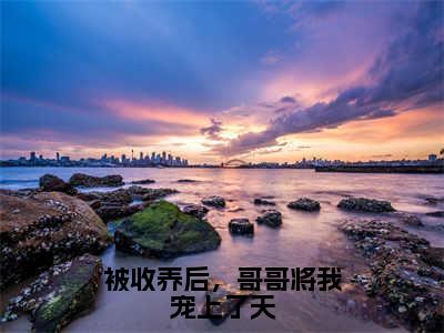 被收养后，哥哥将我宠上了天(许翊许希辞)全文免费阅读无弹窗大结局_被收养后，哥哥将我宠上了天免费阅读全文大结局