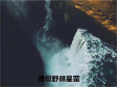 傅司野林星蛮小说（傅司野林星蛮）全文免费阅读无弹窗大结局_傅司野林星蛮最新章节列表_笔趣阁（傅司野林星蛮）