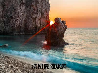 沈初夏陆承晏（沈初夏陆承晏）全文免费阅读无弹窗大结局_沈初夏陆承晏_笔趣阁