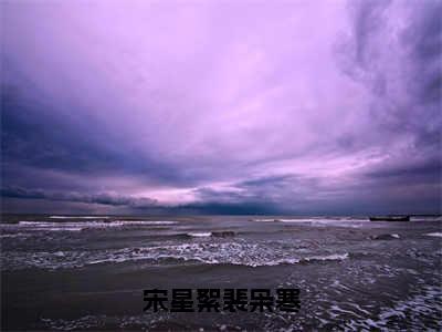 裴枭寒宋星絮（宋星絮裴枭寒）全文免费阅读无弹窗大结局_宋星絮裴枭寒（裴枭寒宋星絮无弹窗）_笔趣阁