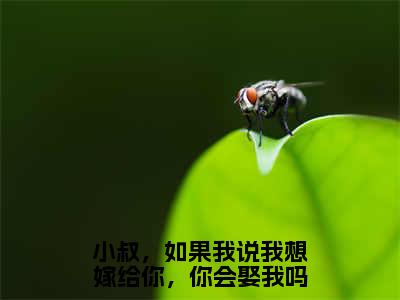 （林予眠傅时礼）小说全文免费阅读_林予眠傅时礼（小叔，如果我说我想嫁给你，你会娶我吗）最新章节热文在线阅读