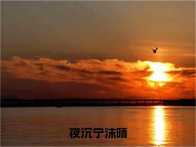 夜沉宁沫晴（宁沫晴夜沉）全文免费阅读无弹窗大结局-夜沉宁沫晴最新章节列表免费阅读