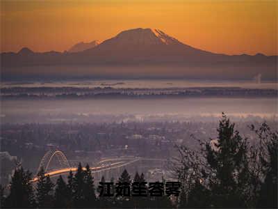 新书热荐江茹笙容雾全集小说完整版大结局-小说容雾江茹笙全文完整版免费阅读