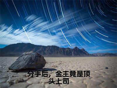 分手后，金主竟是顶头上司（陆晏舟安星辰）全文免费阅读-（陆晏舟安星辰小说）分手后，金主竟是顶头上司最新章节列表