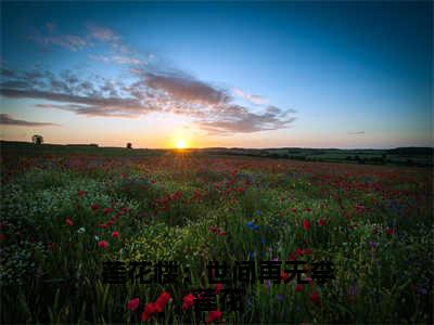 李莲花莲花楼：世间再无李莲花在线小说-莲花楼：世间再无李莲花全文无删减版阅读