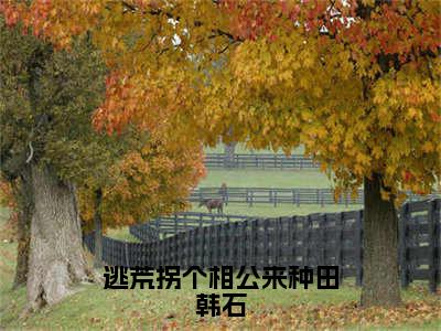 朱珠韩石（逃荒拐个相公来种田韩石）全文免费阅读无弹窗大结局_逃荒拐个相公来种田韩石最新章节列表_笔趣阁（朱珠韩石）