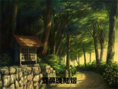 陆熠夏慕晚免费完结小说-夏慕晚陆熠（陆熠夏慕晚）在线阅读全文（陆熠夏慕晚）