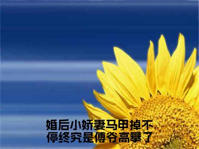 （傅寒晏沈九音）婚后小娇妻马甲掉不停终究是傅爷高攀了小说免费阅读-小说推荐婚后小娇妻马甲掉不停终究是傅爷高攀了精彩章节在线阅读