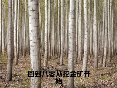 后续+全集赵文多（完整版）热文小说阅读-赵文多全文抖音热推