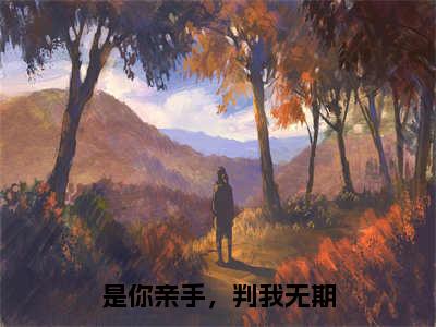 是你亲手，判我无期（沈初凝宋时宴）全文免费阅读无弹窗_（沈初凝宋时宴的小说全文免费阅读）是你亲手，判我无期小说最新章节列表无删减