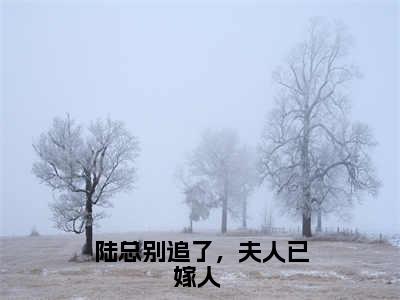 陆总别追了，夫人已嫁人 高赞小说（陆景洐时念）完结阅读_陆总别追了，夫人已嫁人 全文完整版免费阅读最新章节列表