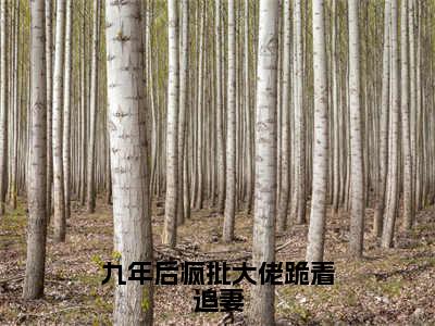 （番外）+（全文）九年后疯批大佬跪着追妻（傅北萱厉霆骁）精彩小说-小说傅北萱厉霆骁全文无删减版免费阅读