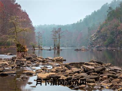 明清沉风是什么小说-小说月下清风凉沉风全文阅读