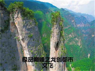 极品巅峰之龙创都市文飞小说全文（文飞）全文免费阅读无弹窗大结局-（文飞）无弹窗免费阅读大结局