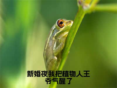 姜凝儿秦君夜全文免费阅读大结局-新婚夜我把植物人王爷气醒了最新章节列表笔趣阁