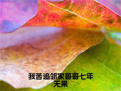 小说桑初禾陆烬时我苦追邻家哥哥七年无果求书热文免费阅读-桑初禾陆烬时小说分享全文我苦追邻家哥哥七年无果