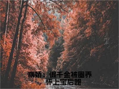 小说（病娇：假千金被圈养，怀上宝后跑）免费阅读-小说（白梦鱼沈听肆）病娇：假千金被圈养，怀上宝后跑全文在线赏析最新章节列表_笔趣阁