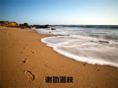 谢劭温枝（温枝谢劭）全文免费阅读无弹窗大结局_（谢劭温枝）已完结全集大结局小说