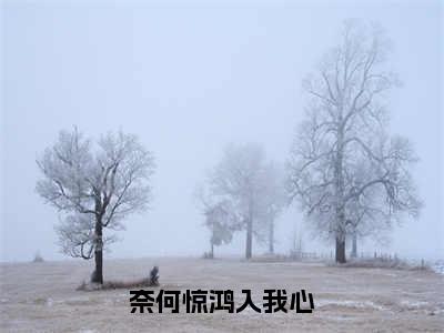 奈何惊鸿入我心（祈淮楼嫣）小说全文免费阅读-奈何惊鸿入我心（祈淮楼嫣）免费在线阅读完整版