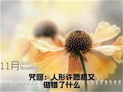 【新书】《咒回：人形许愿机又做错了什么》全文免费阅读最新章节大结局-羂索全文全章节免费阅读