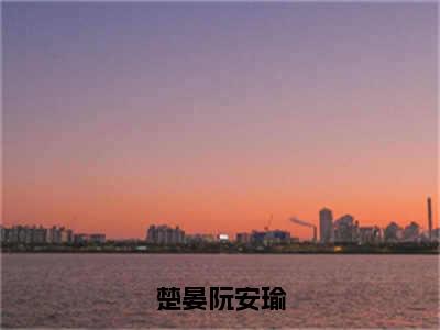 楚晏阮安瑜在线阅读（阮安瑜楚晏）全文免费阅读无弹窗大结局_阮安瑜楚晏免费最新章节列表