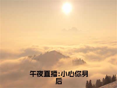 午夜直播:小心你身后免费阅读（夏晴叶冰）完整版全文全章节阅读