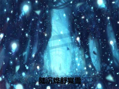 舒宴雪陆沉烨（陆沉烨舒宴雪）全文在线阅读无弹窗大结局_陆沉烨舒宴雪全文无弹窗最新章节列表_笔趣阁