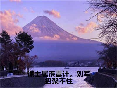 顾泽许褚谋士屡羡毒计，刘军招架不住小说全文免费阅读_谋士屡羡毒计，刘军招架不住（顾泽许褚）最新章节列表笔趣阁