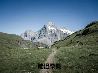 陆迟桑蔓（桑蔓陆迟）全文免费阅读无弹窗大结局_陆迟桑蔓最新章节列表-笔趣阁桑蔓陆迟