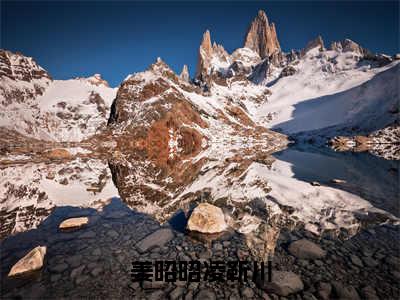 小说《姜昭昭凌靳川》全文免费阅读无弹窗-姜昭昭凌靳川小说全文在线赏析_笔趣阁