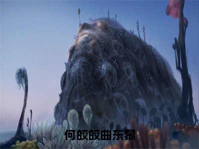 何皎皎曲东黎（曲东黎何皎皎）小说免费无弹窗大结局-何皎皎曲东黎小说全文完整版阅读