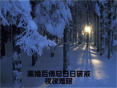 叶聆之傅明司（离婚后傅总日日破戒夜夜难眠）全文免费阅读_（叶聆之傅明司）离婚后傅总日日破戒夜夜难眠最新章节小说免费阅读_笔趣阁