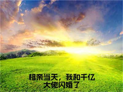 相亲当天，我和千亿大佬闪婚了全文免费在线阅读_（安暖全文免费阅读无弹窗大结局）相亲当天，我和千亿大佬闪婚了最新章节列表_笔趣阁