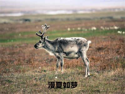 宋漫夏曲鹤渡（漫夏如梦）全文免费阅读无弹窗大结局_（宋漫夏曲鹤渡阅读无弹窗）漫夏如梦最新章节列表