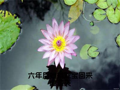 六年后她带双宝回来虐渣夫（姜星宁霍寒爵）高质量小说免费阅读_六年后她带双宝回来虐渣夫最新章节列表_笔趣阁