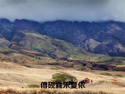 傅砚霖宋夏依（宋夏依傅砚霖）全文免费阅读无弹窗-（傅砚霖宋夏依）宋夏依傅砚霖小说全文在线赏析