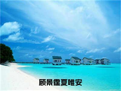 小说《顾景霆夏唯安》全文免费阅读无弹窗-夏唯安顾景霆小说全文在线赏析