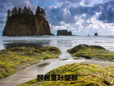 颜碧夏叶楚朝全文免费阅读（叶楚朝颜碧夏免费阅读无弹窗）颜碧夏叶楚朝最新章节列表_笔趣阁