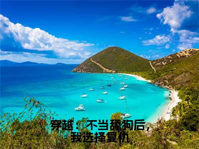 顾碗叶一山（穿越：不当舔狗后，我选择复仇）小说全文无删减版完整版_顾碗叶一山最新章节列表_笔趣阁