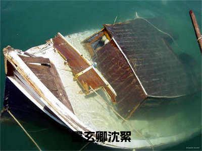 小说（墨玄卿沈絮）全文免费阅读_（沈絮墨玄卿）小说全文免费阅读