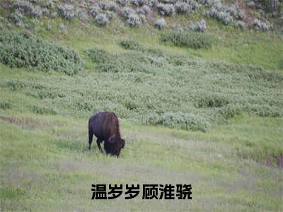 小说顾淮骁温岁岁全文免费阅读无弹窗大结局-温岁岁顾淮骁在线阅读