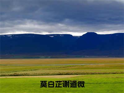 莫白芷谢道微小说大结局免费阅读-莫白芷谢道微抖音新上热文分享莫白芷谢道微