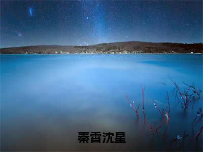 秦霄沈星全文（沈星秦霄小说）全文免费阅读无弹窗大结局_秦霄沈星免费最新章节列表_笔趣阁（沈星秦霄小说）