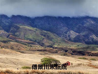 傅景川宋阮阮全文免费阅读无弹窗大结局_（宋阮阮傅景川）最新章节列表_笔趣阁（傅景川宋阮阮小说）