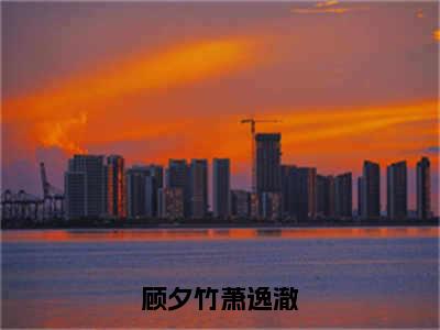 顾夕竹萧逸澈（顾夕竹萧逸澈）全文免费阅读无弹窗大结局_顾夕竹萧逸澈最新章节列表_笔趣阁（顾夕竹萧逸澈）