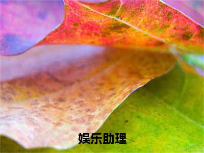 娱乐助理（陆贺）全文免费阅读无弹窗大结局_（陆贺）章节列表_笔趣阁